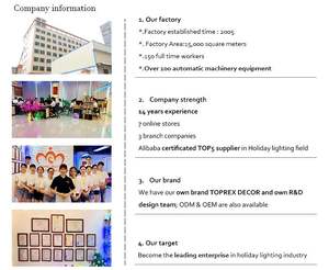 Lampu Pohon Kelapa LED TOPREX DECOR IP65 Tahan Air untuk Penggunaan Luar Ruangan, Ukuran Sesuai Pesanan, Umur Pakai Panjang - Product Image 4