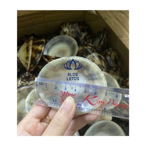 Copa de lactancia de concha de limpias con cubierta lisa, aprobada por el cliente, modelo 2026, para recolección de leche y uso en lactancia - Product Image 1