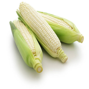Graines de maïs blanc glutineux non-OGM de qualité supérieure, 100 % naturelles, séchées, riches en protéines, durée de conservation de 3 ans, approvisionnement en vrac - Product Image 6