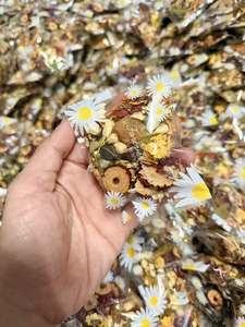 Herbal Slimming Organic Tea Blend Dried Chrysanthemum Orange Peel <b>Red</b> <b>Dates</b> Longan Goji Berries Chia Seeds Loose Leaf Tea Bag 12 - Product Image 6