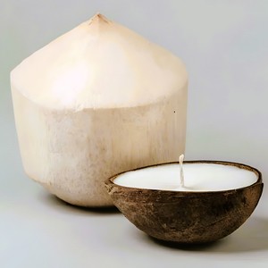 Luxury <b>candles</b> in coconut shell bowls competitive price handmade <b>candle</b> with private label - Product Image 1