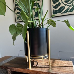 Macetero Moderno Minimalista de Metal Negro con Soporte de Hierro Dorado, Maceta de Lujo para Interiores, Soporte para Plantas para Decoración del Hogar y la Oficina - Product Image 1