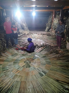 Sombrilla de Palma de 3.5m Extra Grande, Techo de Hojas Naturales, para Jardín, Resort, Playa, Fabricante y Exportador de Vietnam - Product Image 6