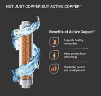Système de purification d'eau domestique par osmose inverse AQUA MOOR BLACK COPPER, purificateur d'eau mural ou sur table, LED, qualité alimentaire