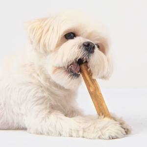 Fabricante de juguetes para mascotas | Juguetes masticables para perros y gatos | OEM Bienvenido hecho en Vietnam - Product Image 5