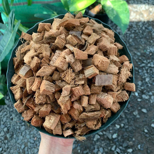 Fibra de Coco Larga y de Baja Humedad para Fabricación de Colchones en Fardos de 120 KG, Fibra de Coco Ecológica de 75 cm en Venta - Product Image 3
