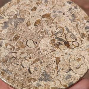 Ensemble de six dessous-de-verre en marbre fossile naturel, protège-tables en pierre - Product Image 3