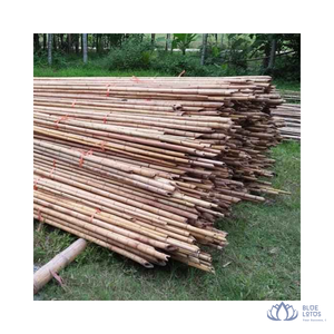 [MEJOR VENTA] Poste de Bambú Recto de 215 cm de Largo, 12 mm/14 mm de Diámetro, Resistente al Agua y a la Putrefacción, para Construcción Pesada, Vietnam - Product Image 1