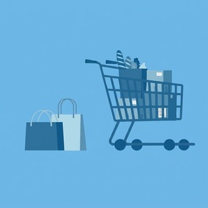 Servicios de Lanzamiento de Tiendas Online B2B Estratégicas: Construcción de Plataformas Profesionales de Comercio Electrónico Mayorista para Altas Ventas - Product Image 6
