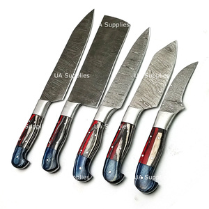 High Quality Damascus Steel 5 Pcs Kitchen <b>Knives</b> Chef Set Hot Selling Chef Sets with Pakka Wood Handle OEM ODM Customizable - Product Image 2