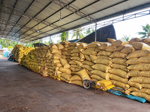 เศษกะลามะพร้าว |   วัสดุปลูกพืชที่เป็นธรรมชาติและอเนกประสงค์ - Product Image 2