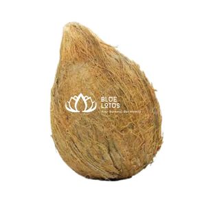 มะพร้าวแกะเปลือกเกรดพรีเมียม - 100% ธรรมชาติ แหล่งกำเนิดที่ยั่งยืน และมีน้ำในเนื้อผลอุดมด้วยความสดชื่น - Product Image 1