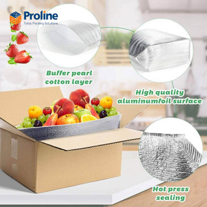 Bolsa Térmica Aislante Impermeable Ecológica de PE Desechable al por Mayor con Cierre de Cremallera - Product Image 5