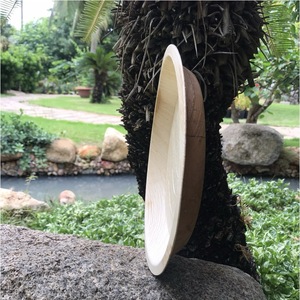 Assiettes en feuilles de palmier compostables, forme ronde, 100% naturelles, assiettes en areca pour un usage quotidien ou pour des événements - Product Image 4