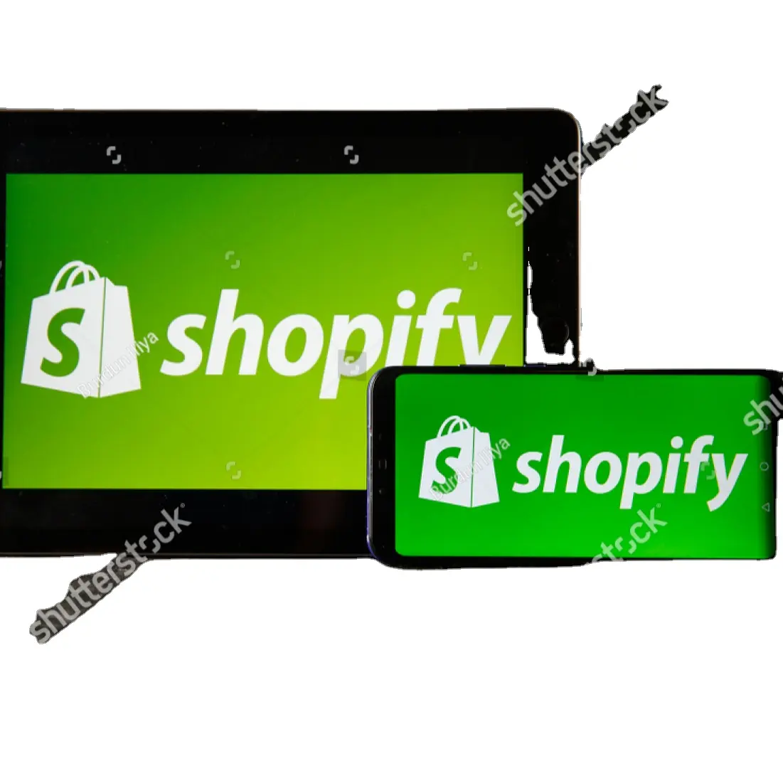 Shopify-diseño y desarrollo del sitio web de compras, servicio de diseño del sitio web de la India por dos dados