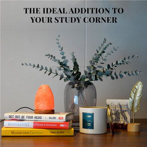 Natural Himalayan <b>Mini</b> Salt Lamp Carved Modern Design Calming Glow Home Decor <b>Table</b> Lamp - Product Image 4