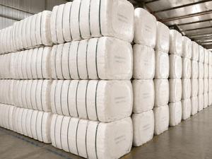 Tiras Planas de Algodón Crudo Cardado de la Marca Nithya, Material de Relleno Blanco para Hilado, Textil Ecológico de Grado de Exportación - Product Image 3