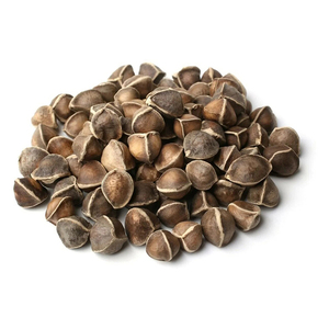 Graines de Moringa sélectionnées, adaptées à l'établissement agricole et à la production de cultures - Product Image 2