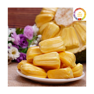 Frozen Jackfruit Vietnam Factory | IQF Yellow Sweet Seedless | Bulk Wholesale Competitive Price - Product Image 1