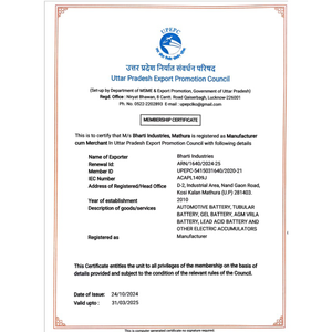 อินเวอร์เตอร์อุตสาหกรรม TT2800 แบตเตอรี่แบบท่อ 12V 280AhC10 สำหรับติดตั้งแผงโซลาร์เซลล์ แบตเตอรี่แบบท่อทรงสูงสำรองไฟได้นาน อินเดีย - Product Image 5