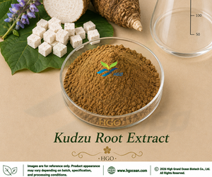 HGO Suministro directo de fábrica de extracto de raíz de Kudzu natural puro (grado alimenticio) Especificación Puerarin 55% (extracto estandarizado) - Product Image 2