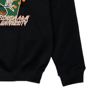เสื้อสเวตเชิ้ตแฟชั่นไซส์ใหญ่ FAMU ขายส่ง สำหรับสไตล์มหาวิทยาลัย ฮู้ดดี้ปักลาย เทคนิคการปักแบบพิเศษ ผลิตจากโพลีเอสเตอร์/คอตตอน สำหรับใส่ในฤดูใบไม้ร่วง - Product Image 5
