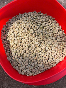 [Comercio Directo] Granos de Café Verde Especiales 100% Arábica S18 Grado 1 Lavado Completo Bolsa de 60 kg - Product Image 5