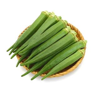 Vente en gros de gombo frais et délicieux - Product Image 5