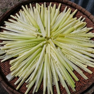 <b>Pickled</b> Bulrush Stem in <b>Jar</b> for Salads and Side Dishes Preserved Vegetable for Culinary Applications - Product Image 1