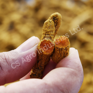 Curcuma entier de qualité supérieure non contaminé, épice naturelle brute pour la cuisine et les usages traditionnels, séché à l'air libre - Product Image 3