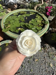 Accessories Aromatherapy 2.4 INC ROSE Bundle Replacement Handmade Dried <b>Reed</b> <b>Diffuser</b> Wood Sola Wood Flower With Custom - Product Image 5