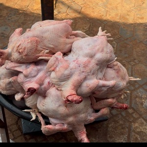 ไก่แช่แข็งแบบ IQF บรรจุภัณฑ์สุญญากาศ เพื่อรสชาติสดใหม่และคุณภาพที่เชื่อถือได้ คัดสรรชิ้นส่วนอย่างพิถีพิถันสำหรับการขายปลีก/บริการอาหารและการปรุงอาหารประจำวัน - Product Image 2