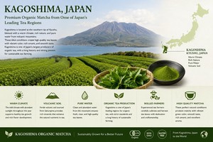 Té Verde Matcha Japonés TBT-5 Kagoshima de Primera y Segunda Cosecha, Mezcla Latte, Calidad Magnífica, Tarifas Favorables, Proveedor - Product Image 5