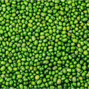 Frijoles Mung Orgánicos Secos Frescos Recién Cosechados, Preparados para Exportación, con Selección Cuidadosa y Empaques Protectores para Compradores - Product Image 5