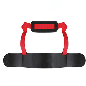 Appareil de musculation robuste pour biceps, hommes et femmes, entraîneur isolateur de biceps, fournisseur OEM - Product Image 1