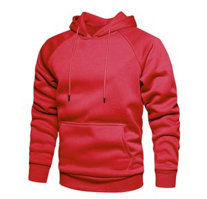 Nouveauté 2026 – Sweats à capuche vintage personnalisés pour hommes, épais et délavés, en molleton 100 % coton, écologiques, respirants et à séchage rapide pour l'hiver - Product Image 4