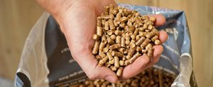 Granulés de bois 100% purs et économiques pour système de chauffage, motif bâtonnets, teneur en cendres 0,1%, humidité 2%, 4500 calories, densité 650kg/m3, en promotion ! - Product Image 4