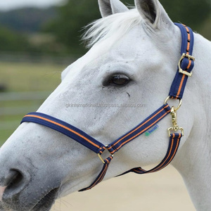 Sangle équestre PP de haute qualité licou rembourrage en polaire douce selle occidentale collier de tête réglable fournisseur de qualité - Product Image 1