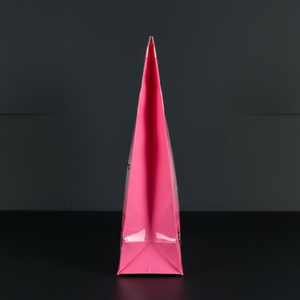 Sacs à fermeture éclair conçus pour des applications d'emballage sécurisées et réutilisables, offrant une fermeture fiable et des performances durables des matériaux. - Product Image 2