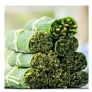 หลอดหญ้า sedge ออร์แกนิกใหม่โซลูชันสำหรับใช้ในบ้านเป็นมิตรกับสิ่งแวดล้อมสำหรับลดการผลิตขยะพลาสติกประสิทธิภาพสูงติดต่อกับ MS Mary - Product Image 4