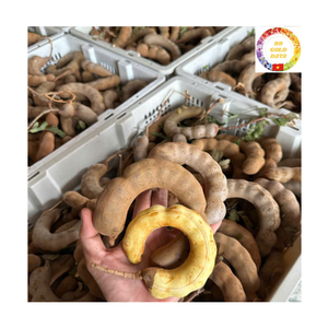 Pulpa de Tamarindo con Semillas, Sabor Natural, Limpia, para Uso Industrial en Alimentos, Exportación a Granel - Product Image 2