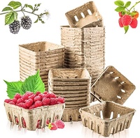 Gevormde pulp-bessenbakjes geventileerde fruitverpakkingen duurzame biologische producten punnets voor supermarkten