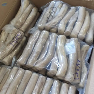 ไม้กาแฟคุณภาพสูง เป็นมิตรกับสิ่งแวดล้อม ปลอดภัยสำหรับสัตว์เลี้ยง ไม้กัดแทะที่แข็งแรง ทนทาน สำหรับเล่นแบบอินเทอร์แอคทีฟ และเป็นอุปกรณ์ดูแลสุขภาพฟันสุนัข - Product Image 4