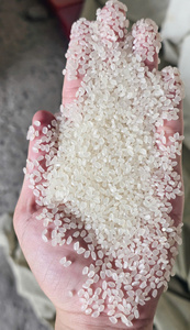 Exportateur en gros de riz japonica Tien Giang du Vietnam, proposant un riz à grains courts de qualité supérieure, excellente qualité de cuisson, durée de conservation de 24 mois - Product Image 5