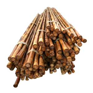 Pôles en bambou durables de haute qualité, très demandés, de qualité supérieure, écologiques, pour le soutien des plantes agricoles - Product Image 1