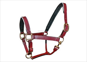 Halters en cuir de cheval de style équestre haut de gamme de meilleure qualité avec bandeau et muserolle rembourrés doux - Product Image 2
