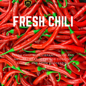 Chiles Frescos de Vietnam _ Venta al por Mayor para la Industria Alimentaria e Importadores Globales - Product Image 2