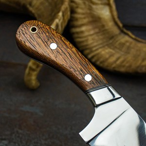 Hand Forged Stainless Steel Gut Hook Fixed Blade Hunting Skinning Camping <b>Knife</b> Stag & Brass <b>Handle</b> Full Tang Outdoor <b>knife</b> - Product Image 2