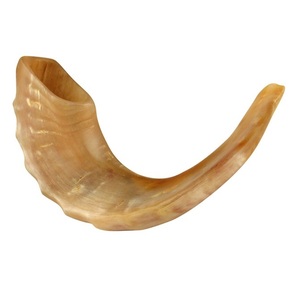 Shofar de Cuerno de Carnero Natural en Forma de Espiral, Instrumento de Viento Hecho a Mano, Sonido Puro para Festividades Religiosas, Venta al por Mayor - Product Image 1