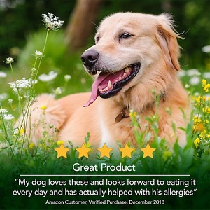Soutien Allergie Santé Peau & Pelage Friandises Tendres Sans Céréales pour Chiens et Chats Champignons Curcuma Zinc Absorption Rapide Sûr OEM Disponible - Product Image 4